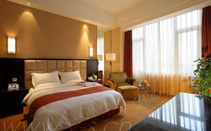 BUSINESS&nbsp;SINGLE&nbsp;ROOM